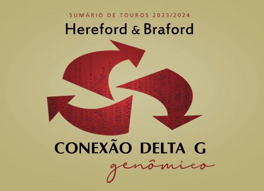Sumário de Touros Hereford e Braford 2023